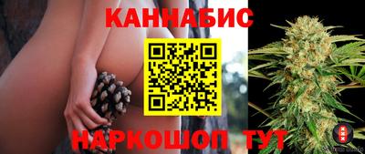 ALPHA PVP Пугачёв